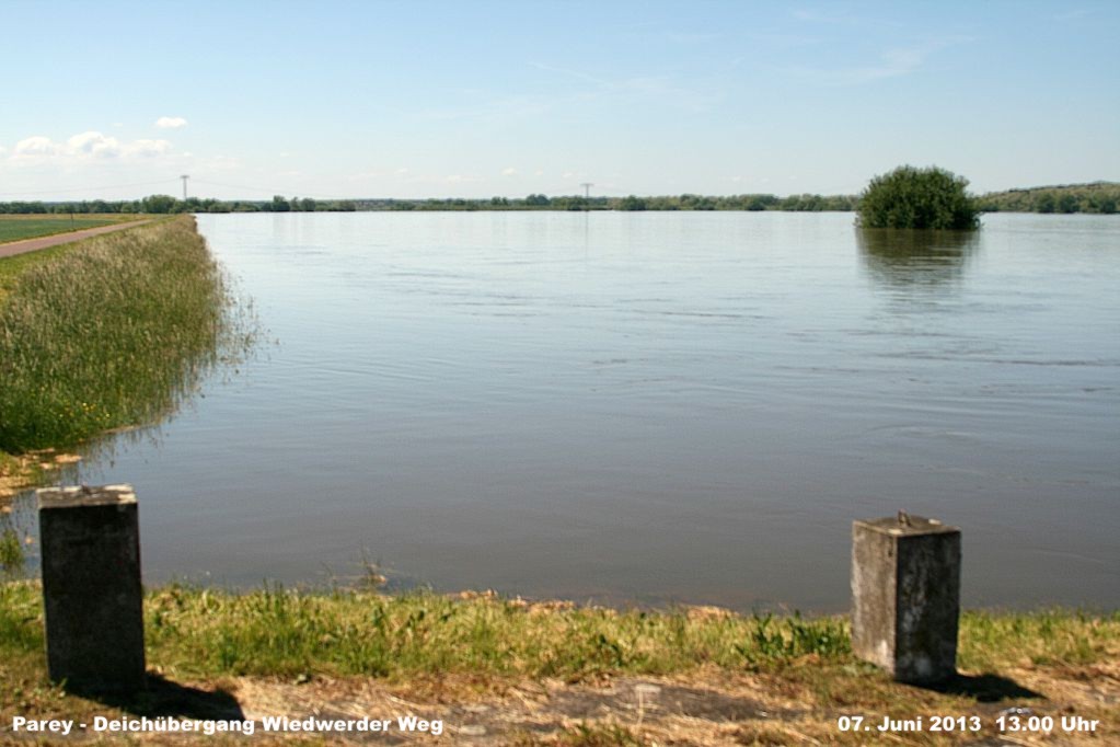 Hochwasser- 2013_06_07-001-Parey-Wiedwerder_Weg.jpg